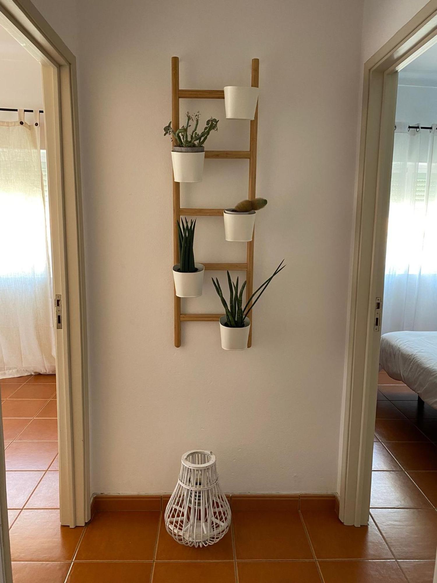 Apartamento Vicentino Vila Nova de Milfontes Exteriör bild
